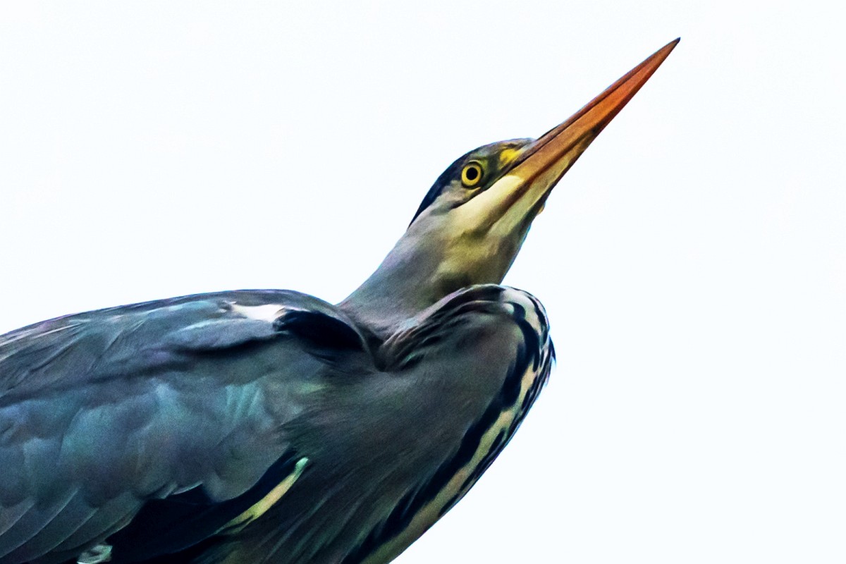 foto: [20181107PV5548A]